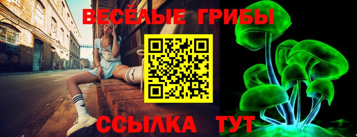 Качканар  Галлюциногенные грибы мицелий  дарнет шоп  Вход с VPN  Псилоцибиновые грибы GOLDEN TEACHER 